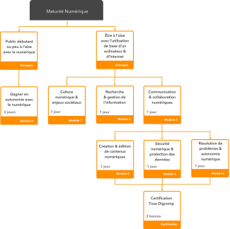 Filière Maturité Numérique